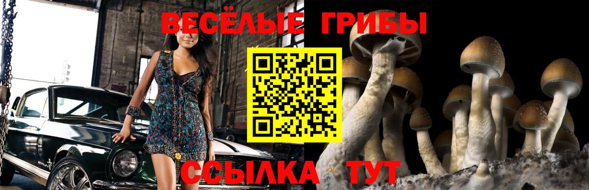 Семёнов  Псилоцибиновые грибы Magic Shrooms  Псилоцибиновые грибы ЛСД  Вход с VPN 